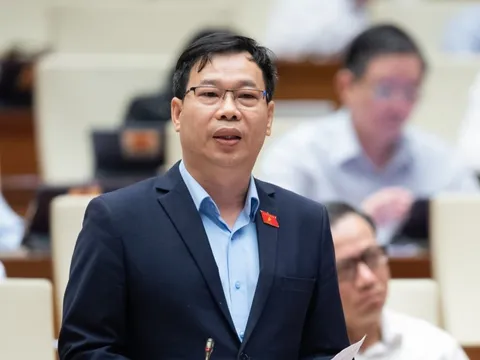 Đề nghị rà soát quy định truy cứu trách nhiệm hình sự ban quản trị nhà chung cư