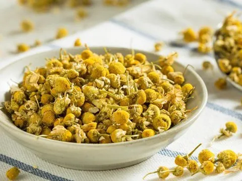 Tác dụng giảm mỡ máu kỳ diệu của loại trà đã được người Việt dùng từ rất lâu