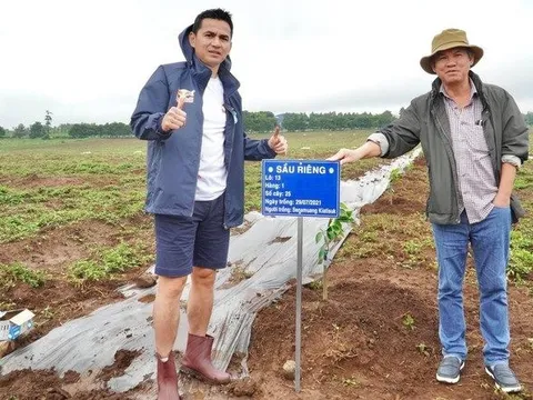 Xuất khẩu sầu riêng có thể mang về 1 tỉ USD cho Việt Nam, bầu Đức "đi trước đón đầu" có hưởng lợi lớn?