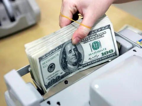 Việt Nam đang sở hữu thứ quý giá: Chưa hết nửa năm, bán được nửa tỷ USD