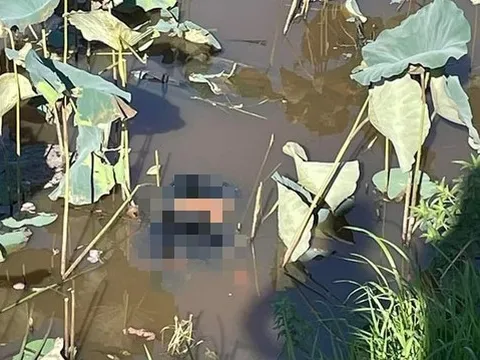 Nam thanh niên tử vong bên chiếc xe máy dưới hồ sen