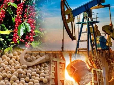 Chuẩn bị giao dịch Hợp đồng quyền chọn hàng hóa tại Việt Nam