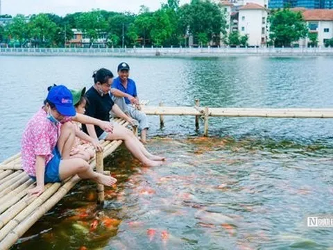 Người dân Thủ đô thích thú trải nghiệm tại hồ cá koi rộng 3,5ha