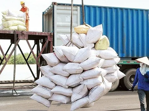 Gạo Việt đang có sức cạnh tranh lớn