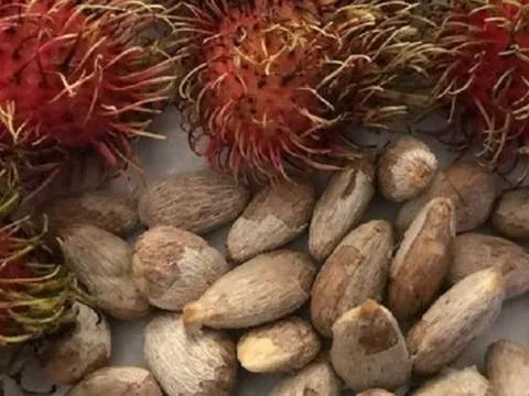 Hóc hạt chôm chôm bé 5 tuổi ở Bình Định tử vong, bác sĩ khuyến cáo