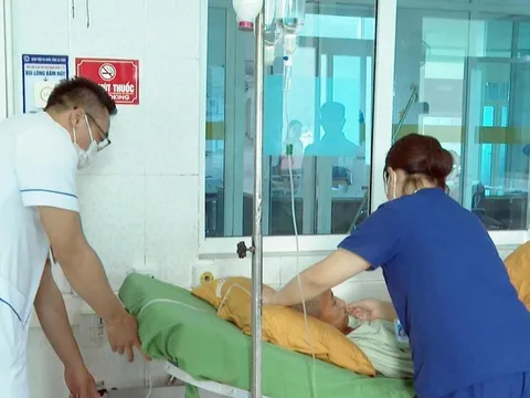 Lai Châu: 14 người nhập viện nghi ngộ độc nấm hoang