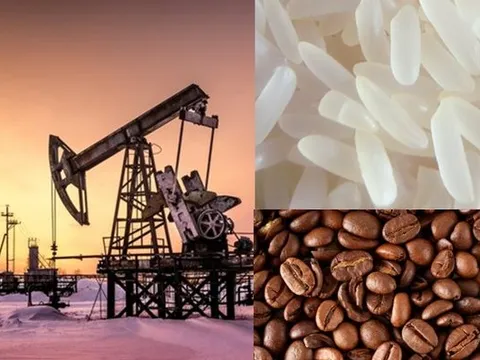 Thị trường ngày 23/6: Giá dầu, vàng, cà phê arabica lao dốc, gạo đạt đỉnh 2 năm