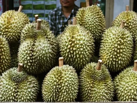 Chuyện kỳ lạ tại thành phố đắt đỏ nhất châu Á: Loại trái cây vua của Việt Nam đang có giá bán chưa đến 24.000 đồng/kg