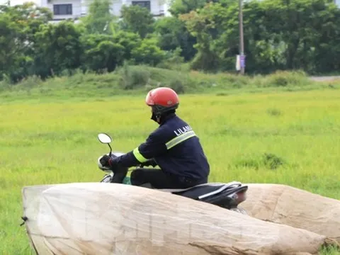 Vượt hơn 80km để săn châu chấu, nông dân Nghệ An kiếm tiền triệu mỗi ngày