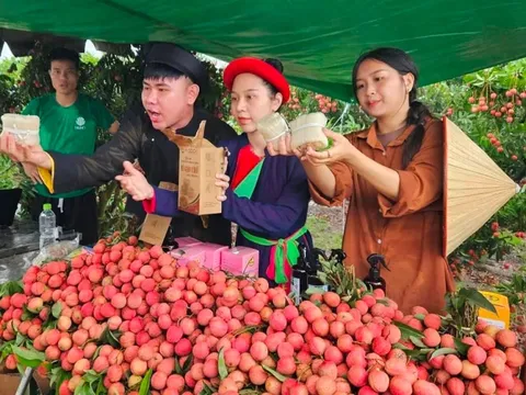 Dàn KOL TikTok livestream bán hết 23 tấn vải thiều Bắc Giang, 10 phút bán sạch mỳ Chũ, thịt gác bếp: 4 tiếng chốt hơn 5.100 đơn hàng, thu về hơn 1 tỷ đồng