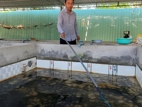 Thành công từ nuôi lươn không bùn, người đàn ông kiếm tiền tỷ mỗi năm