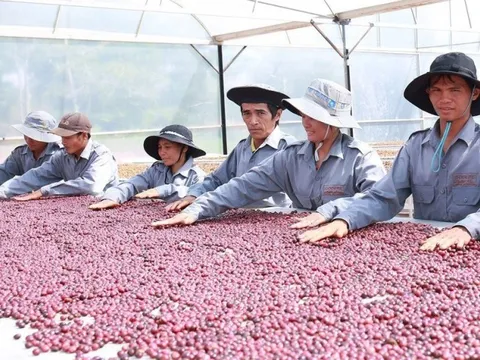 Tìm “lối đi riêng” cho phát triển nông nghiệp bền vững