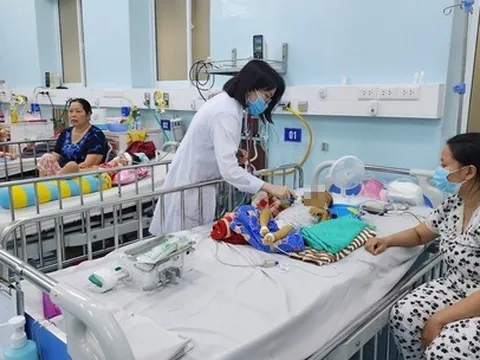 Bệnh viện Nhi đồng 2 đã ghép gan trở lại sau thời gian gián đoạn