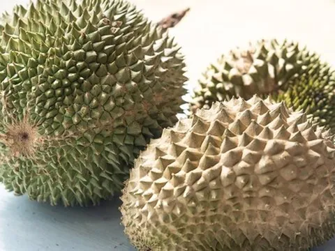 Vì sao xuất khẩu sầu riêng Thái Lan sang Việt Nam bất ngờ tăng hơn 10.000%?