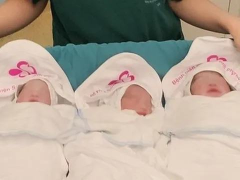 Người phụ nữ trẻ mang thai 3 hiếm gặp từ 2 trứng, 2 tinh trùng