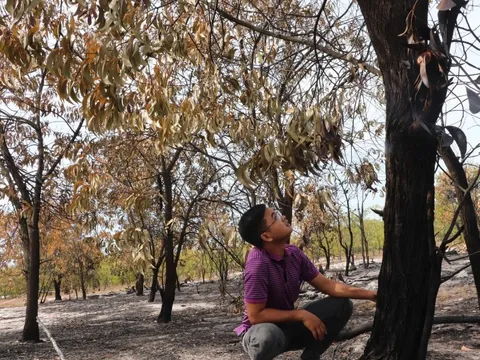 Đốt rừng để... diễn tập chữa cháy: Lãnh đạo tỉnh Quảng Nam chiều nay sẽ đến kiểm tra