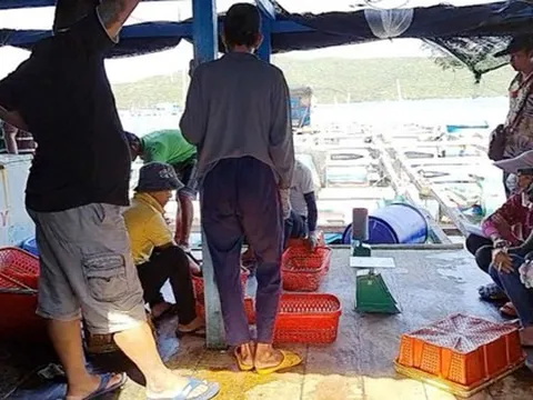 Sau loạt bài côn đồ lộng hành ở Vịnh Vân Phong: Trả lại bình yên cho người dân