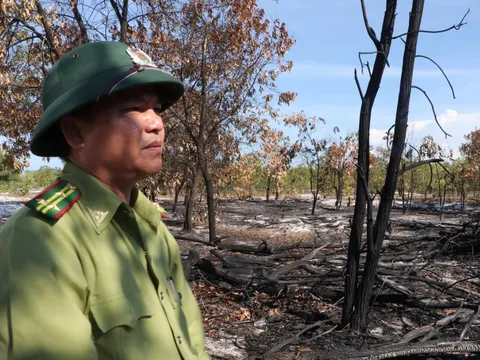 Đốt rừng… để diễn tập chữa cháy: Quảng Nam thừa nhận sai sót!