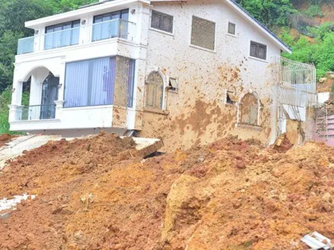 Vụ sạt lở kinh hoàng ở Đà Lạt: Tạm đình chỉ trưởng Phòng Quản lý đô thị