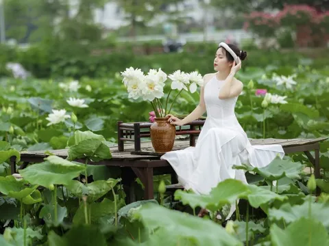 Thợ ảnh hốt “bạc triệu” mỗi ngày, các dịch vụ ăn theo kiếm bộn tiền nhờ mùa sen nở rộ