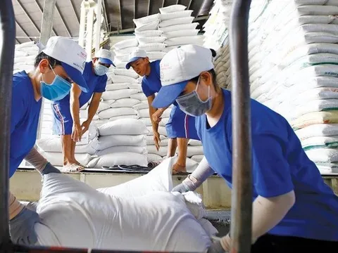 Một mặt hàng của Việt Nam đạt mức xuất khẩu kỷ lục tại Philippines, cao nhất từ trước đến nay