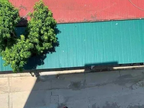 Người phụ nữ rơi từ tầng 8 tòa nhà bệnh viện xuống tử vong