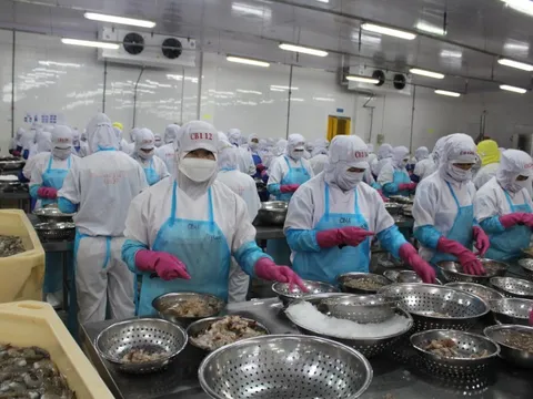 Nguyên nhân các gói hỗ trợ của Chính phủ chưa được như kỳ vọng