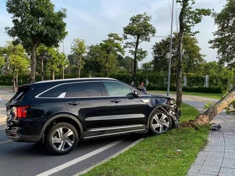 Đằng sau những bức ảnh TNGT: KIA Sorento bất ngờ lao lên vỉa hè hạ gục gốc cây lớn