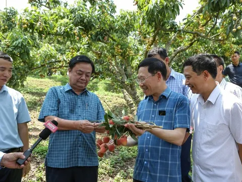 Bộ trưởng Lê Minh Hoan: Không kể thành tích, không than khó, hãy nêu giải pháp
