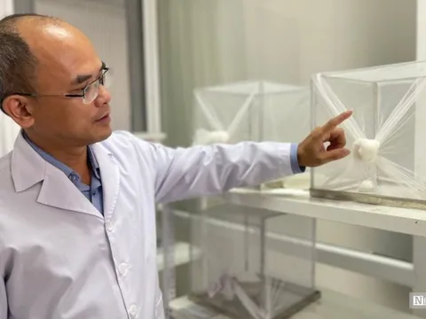 Chuyên gia lý giải nguyên nhân dịch sốt xuất huyết phá vỡ quy luật