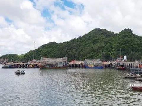 Hải Phòng: Cảng cá rộng hơn 30 ha hoang tàn, tiêu điều