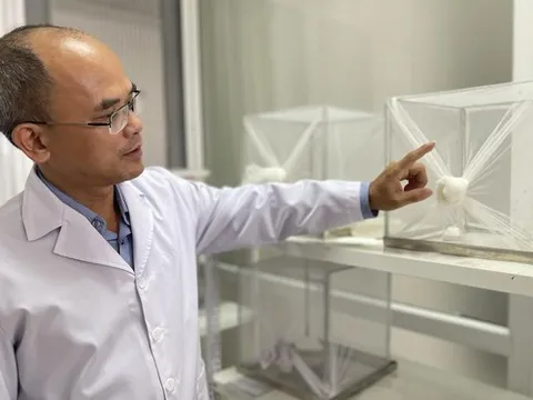 Cảnh báo 'kỷ nguyên muỗi': Sinh sôi nhanh hơn, sống lâu hơn và lây bệnh nhiều hơn