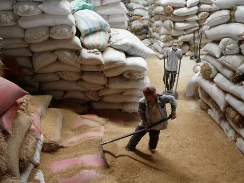 Giá xuất khẩu lập đỉnh 2 năm, đây là lý do “hạt ngọc trời” của Việt Nam sẽ còn tăng giá mạnh hơn nữa trong thời gian tới