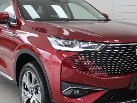 Đại lý báo Haval H6 ra mắt ngày 1/8 tại Việt Nam, giá dự kiến gần 1,1 tỷ ngang ngửa Santa Fe