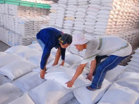 Giá gạo Việt tăng kỷ lục trong 2 năm
