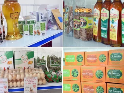 Nghệ An bàn về giải pháp thúc đẩy sản phẩm OCOP ra thị trường