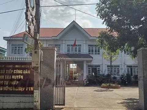 Đắk Nông: Trưởng phòng Tư pháp bị cách chức vì ăn trộm cây hoa giấy