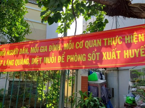 TP HCM: Hàng trăm ổ dịch tay chân miệng, lăng quăng ở khắp nơi