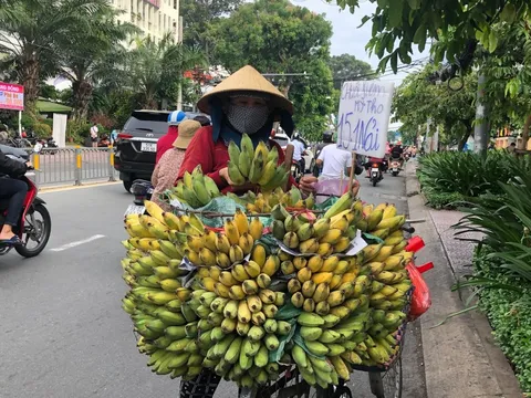 Mua được giá rẻ lại thấy chạnh lòng