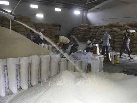 Thị trường nông sản thế giới: Giá gạo Ấn Độ cao nhất trong 5 năm