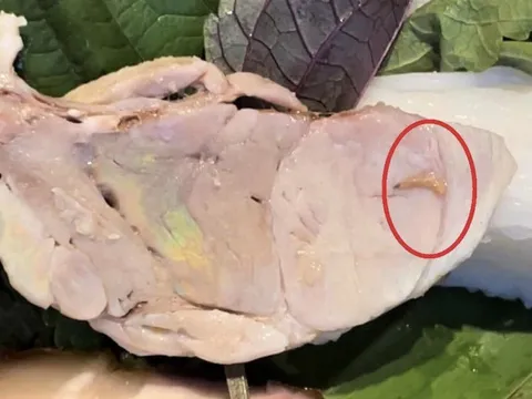 Quán bún đậu nổi tiếng ở TP HCM bị tố có giòi