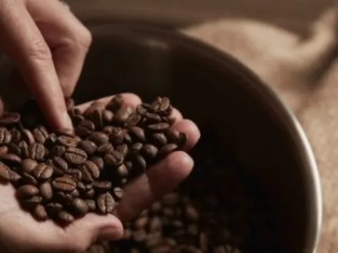 Một quốc gia châu Mỹ có sản lượng cà phê bằng 0, tăng nhập khẩu cà phê Việt Nam gần 500% trong 5 tháng đầu năm
