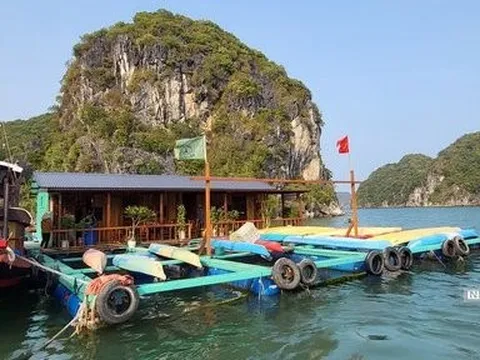 Hải Phòng: Người nuôi cá ở Cát Bà không bị “ép” phải đóng lồng bè HDPE