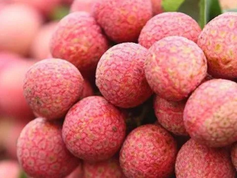 Vận chuyển vải thiều bằng máy bay tăng 200%