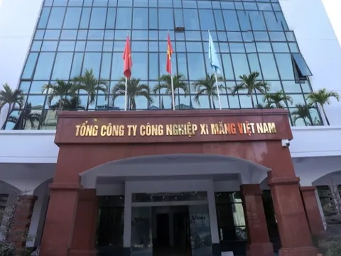 Tổng công ty Xi măng "bỏ quên" hàng ngàn tỉ đồng khi cổ phần hoá