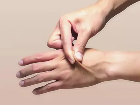 Cơ quan nào nặng nhất trong cơ thể người?