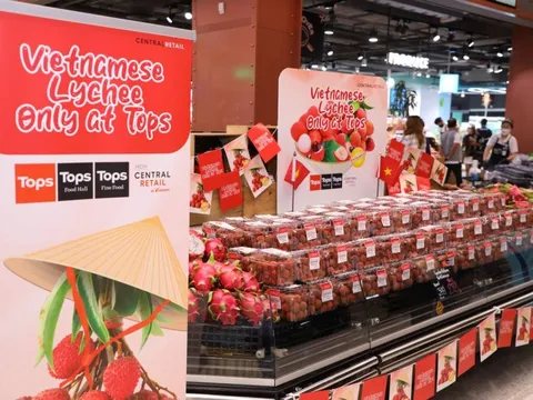 Vải thiều Lục Ngạn được xuất khẩu sang Thái Lan
