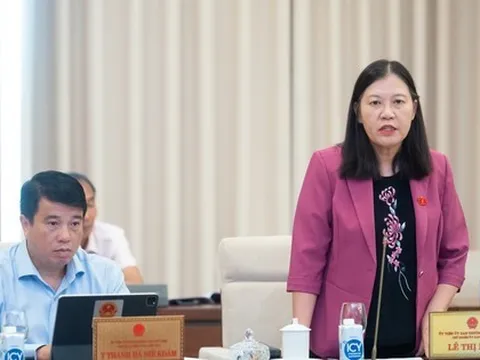 Phụ huynh 'trắng đêm' xếp hàng nộp hồ sơ, có phải thiếu trầm trọng trường công?