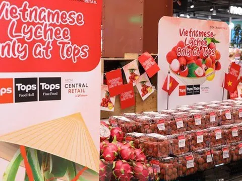 Vải thiều Lục Ngạn bán giá hơn 170.000 đồng/kg tại Thái Lan