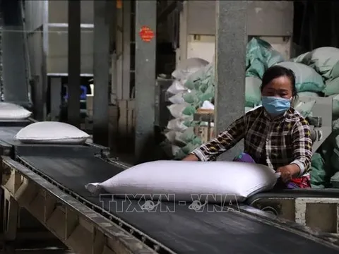 Doanh nghiệp chế biến gạo vẫn gặp khó vì lãi suất ngân hàng